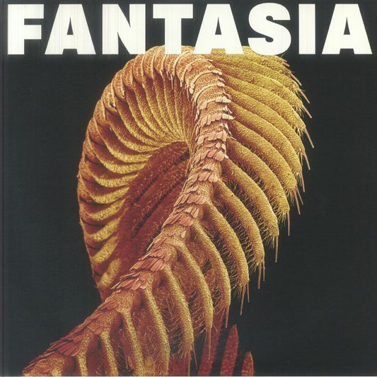SLIFT - Fantasia (Sub Pop Loser Edition 2XLP)