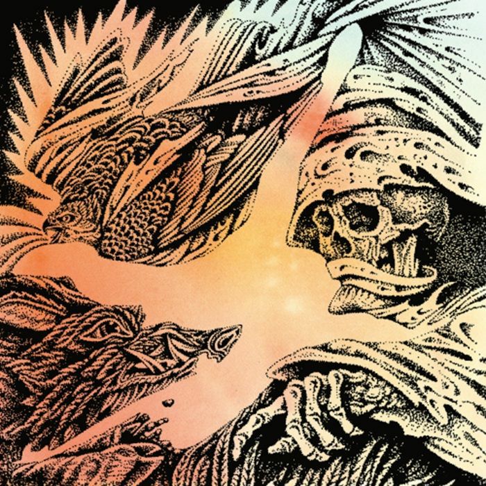 The Heavy Eyes - Focus
