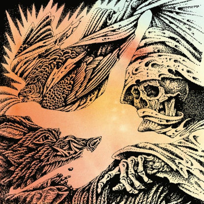 The Heavy Eyes - Focus