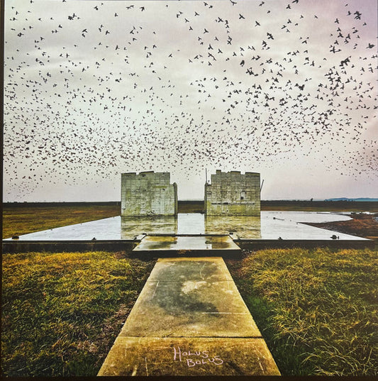 Lord Buffalo – Holus Bolus | Impermanence Edition Green/Gold Merge Vinyl (Gatefold)