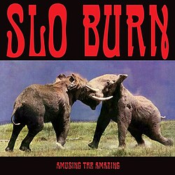 Slo Burn, Amusing the Amazing, 12" Vinyl, Single-Sided, RSD, Limited 2000, US, 2025