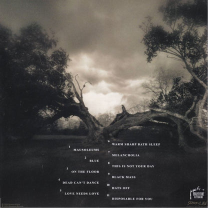 En Minor – When The Cold Truth Has Worn Its Miserable Welcome Out (Crystal Clear Vinyl)